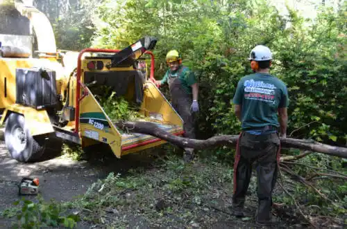 tree services Escalon